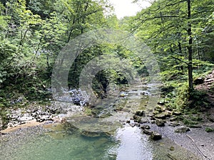 Protected landscape of the small river Kamacnik in Gorski kotar - Vrbovsko, Croatia / ZaÃÂ¡tiÃâ¡eni krajolik rjeÃÂice KamaÃÂnik photo